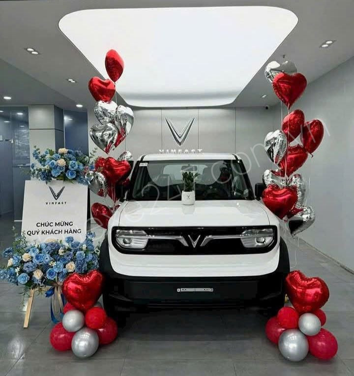 VF3 Plus 500k/ngày - ảnh thật 1